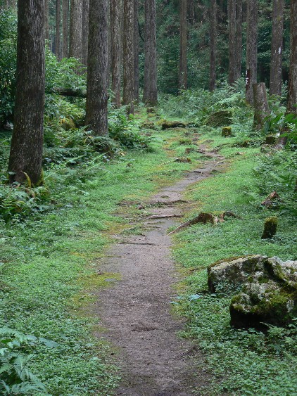 e0083238_21415040.jpg