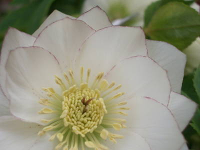c0025140_2139647.jpg