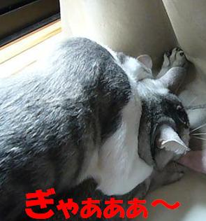 f0002743_22483282.jpg