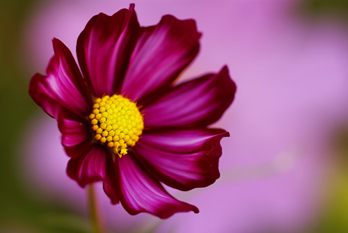 a0003746_17475231.jpg