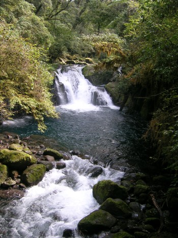 c0014846_8493627.jpg