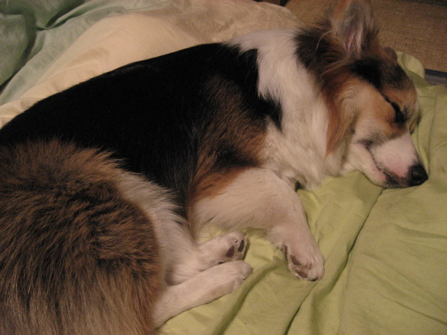 b0097747_21495532.jpg
