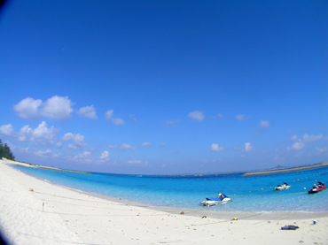 d0065247_20591469.jpg