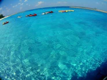 d0065247_2122559.jpg