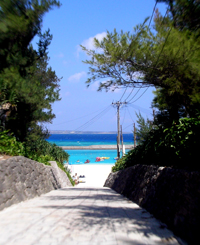 d0065247_2151051.jpg