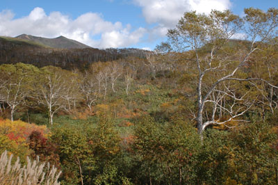 f0020352_1940513.jpg