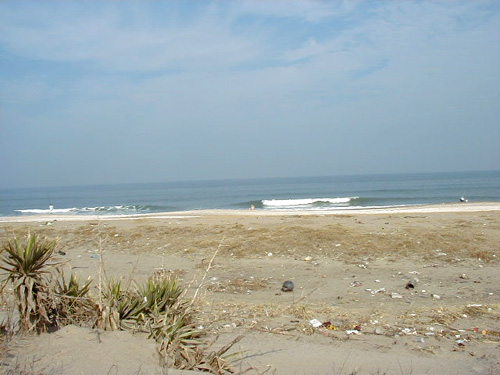 f0105054_4512360.jpg
