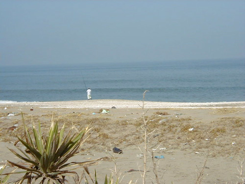 f0105054_451578.jpg