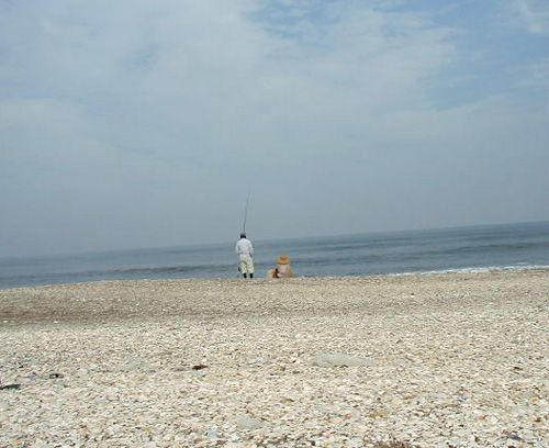 f0105054_4525745.jpg