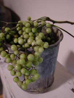 f0052256_21433234.jpg