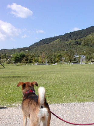 a0063364_2224514.jpg