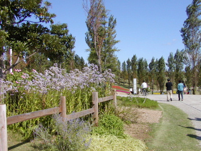 a0063364_22394080.jpg