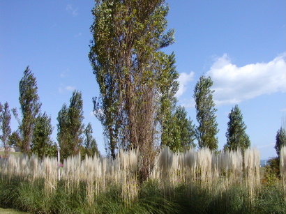 a0063364_22424989.jpg