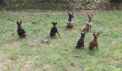 c0012571_12163283.gif
