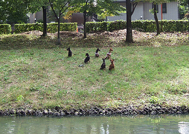 c0012571_1216518.gif