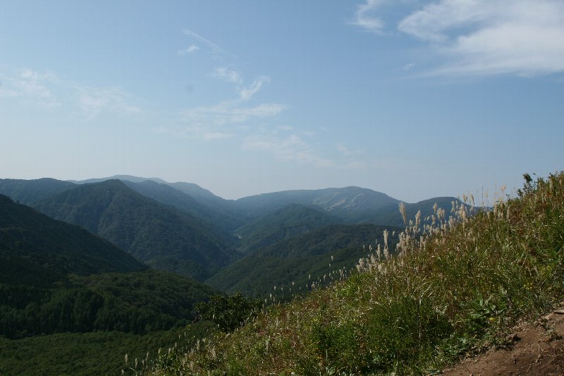 a0076683_7555539.jpg