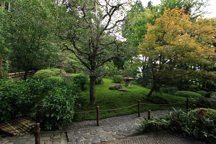 e0051888_11474375.jpg