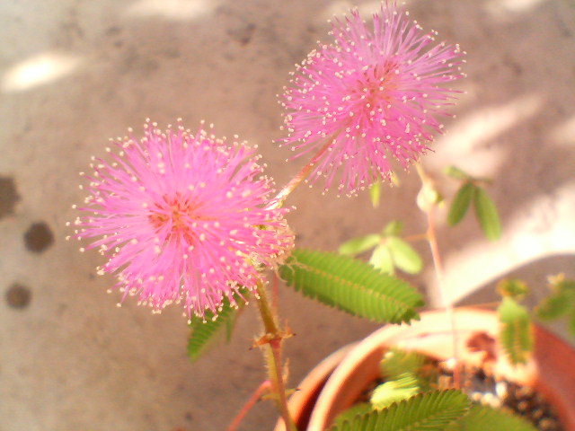 a0089790_1945165.jpg