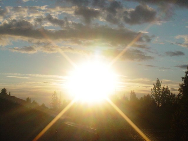 a0078592_01302.jpg