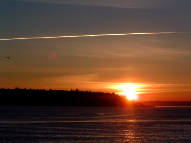 a0078592_021916.jpg