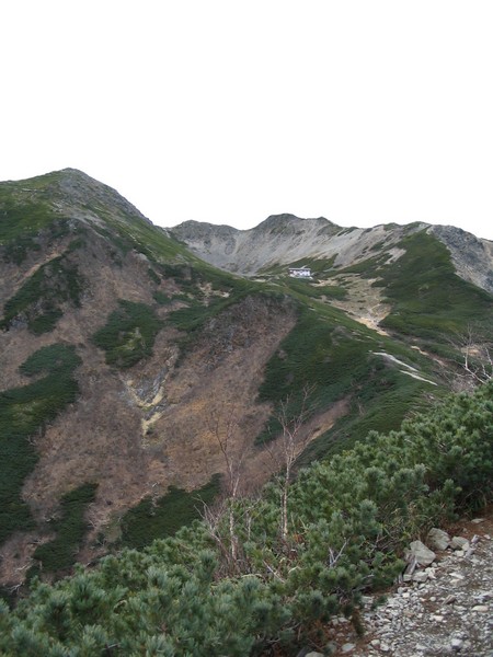 d0049594_10253.jpg