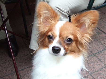 c0044199_120949.jpg