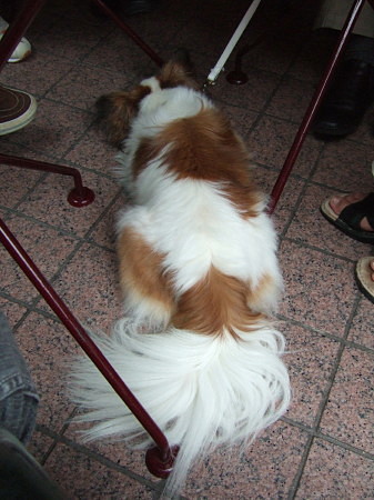 c0044199_12214237.jpg