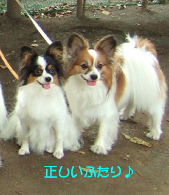 c0044199_1282025.jpg