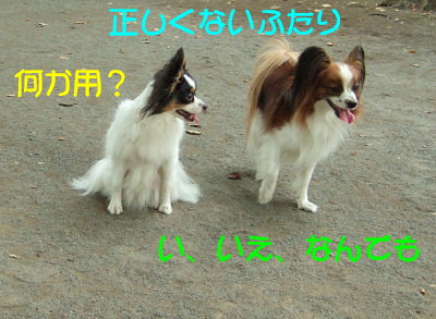 c0044199_1285757.jpg