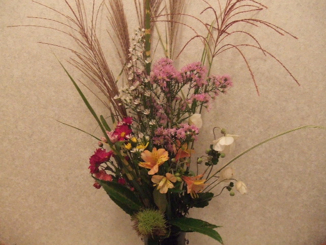 e0050801_085369.jpg