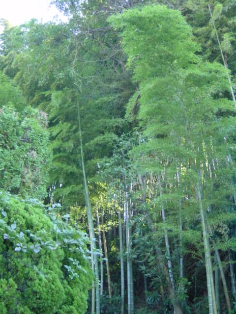 b0083902_21283034.jpg