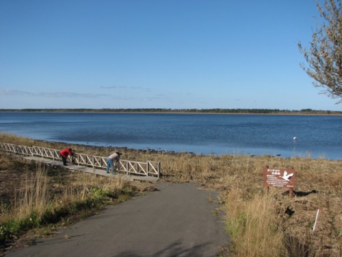 f0020302_17382574.jpg