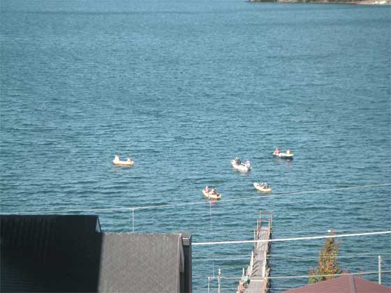 f0036603_21494032.jpg