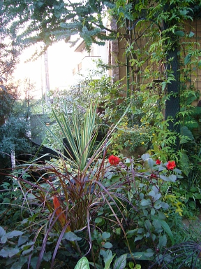 f0065604_2229155.jpg