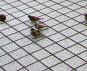 a0079207_23315954.jpg