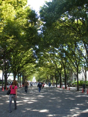 e0083212_17134229.jpg