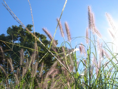 e0083212_17141586.jpg