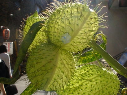 e0083212_17144717.jpg