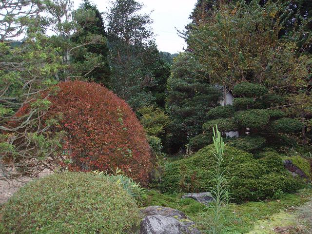 c0086014_221088.jpg