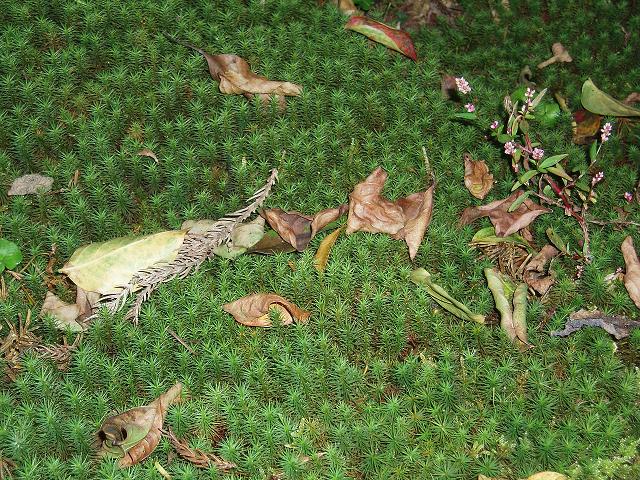 c0086014_22141168.jpg