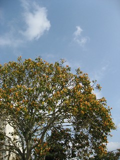 a0044916_1957152.jpg