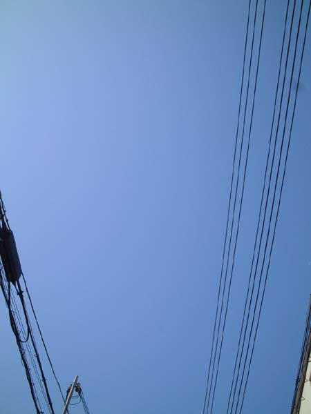 c0059521_8534781.jpg