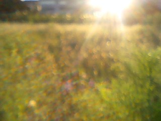 a0043326_21442015.jpg