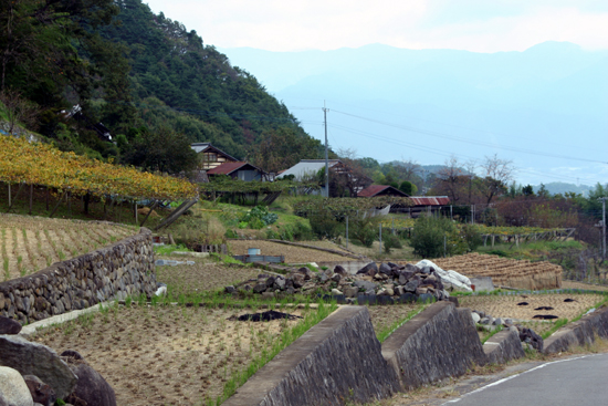 f0081726_1714196.jpg