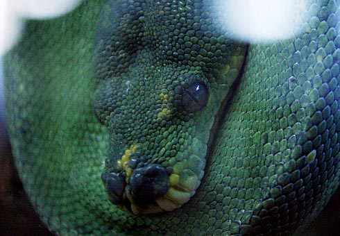 c0066827_10411118.jpg