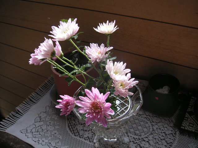 a0020929_22175187.jpg
