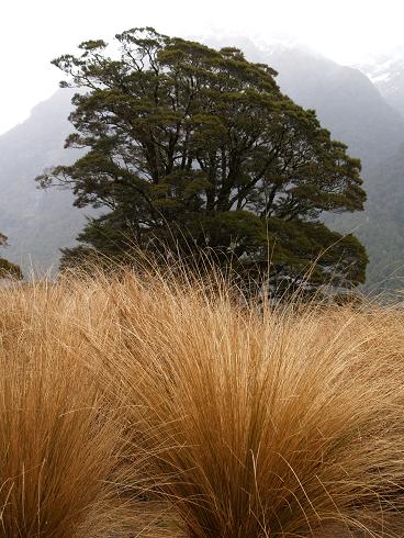 e0102937_10463839.jpg