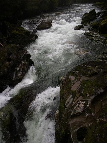 e0102937_10475845.jpg