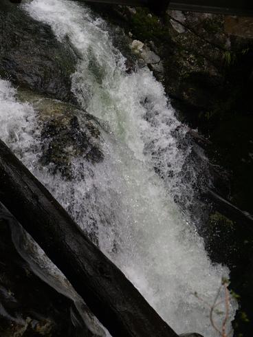 e0102937_10481566.jpg