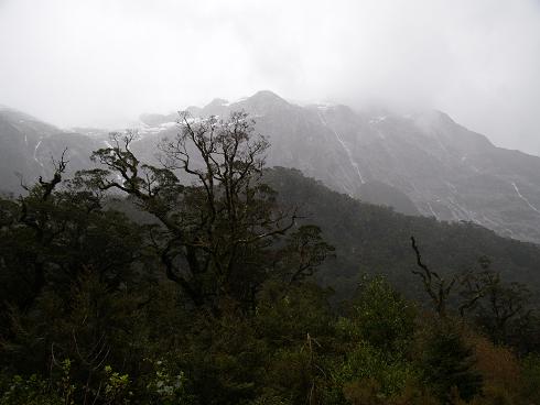 e0102937_10484767.jpg